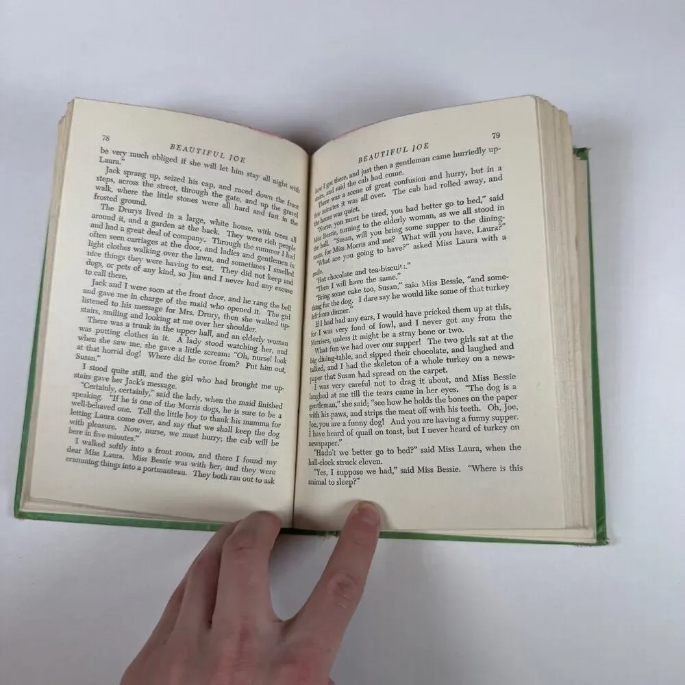 Beautiful Joe by Marshall Saunders 1920 Antique book
